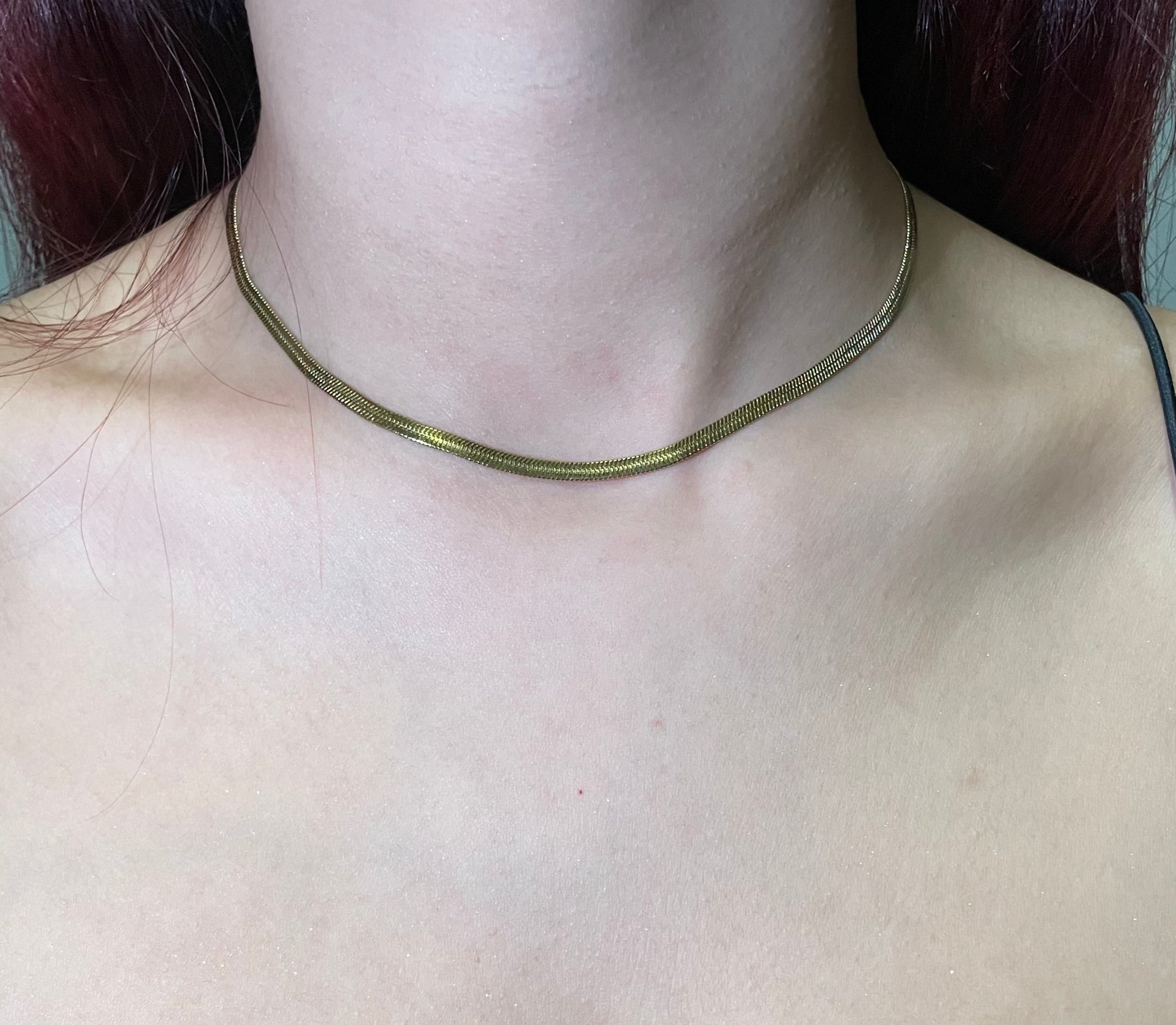 Snake Shinning Necklace